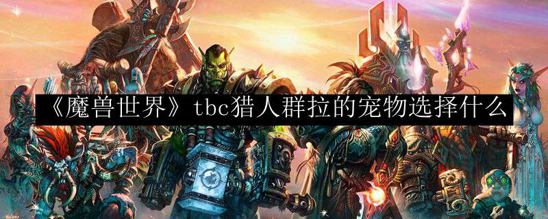 《魔兽世界》tbc猎人群拉的宠物选择什么