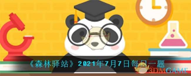 《森林驿站》2021年7月7日每日一题