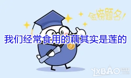 我们经常食用的藕其实是莲的