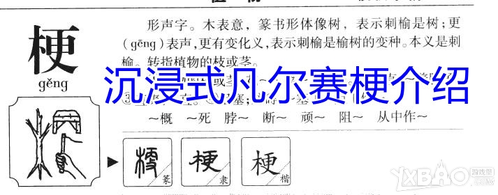 沉浸式凡尔赛梗介绍