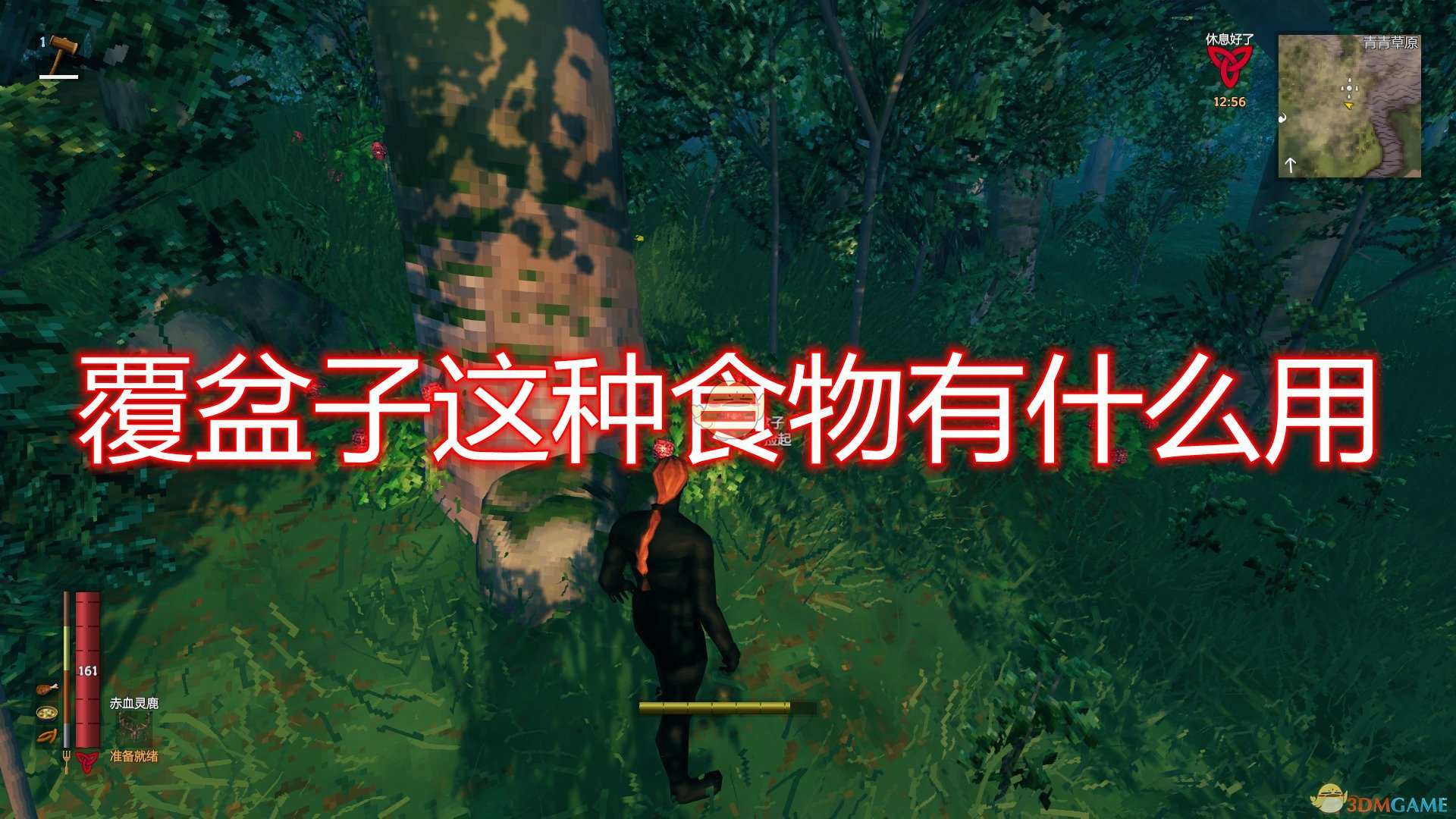 《Valheim：英灵神殿》覆盆子食物介绍