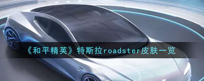 《和平精英》特斯拉roadster皮肤一览