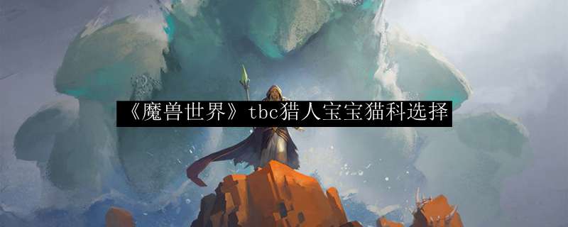 《魔兽世界》tbc猎人宝宝猫科选择