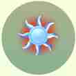 “逐日盾”孢子：像一个太阳 象征着好运要来临了
