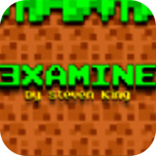 examine