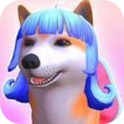 Groomer Run 3D