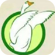鹅农场