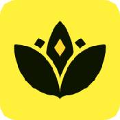 荷花网