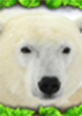 北极熊模拟 电脑版v1.1