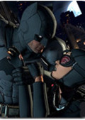 蝙蝠侠：暗影的领域 电脑版