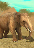 野生大象模拟3D 电脑版