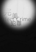 完美犯罪 中文版