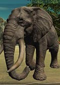 真实大象育成3D 电脑版v1.0