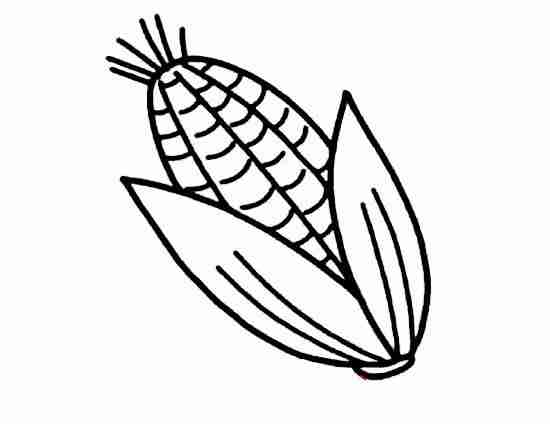 玉米儿童简笔画