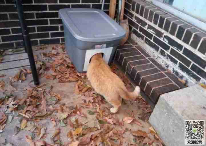 利用塑胶箱自制温暖猫窝方法